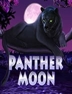 ufabet 998โรล โอเวอร์ บา คา ร่า: เกมสนุกๆ ที่ไม่ควรพลาด!